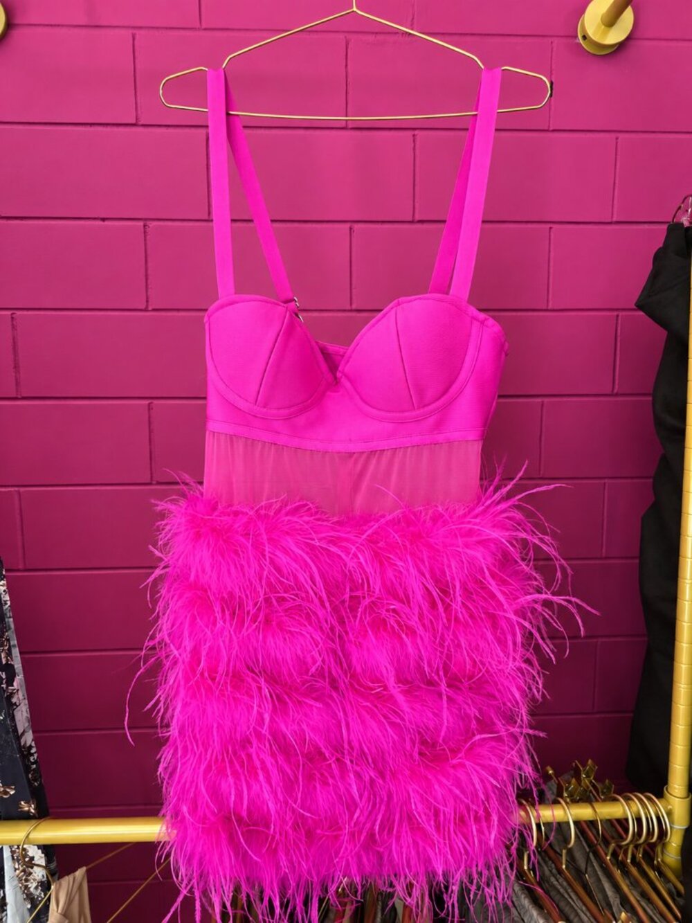 Hot Pink Feather Corset Mini Dress – Sexy Party Dress